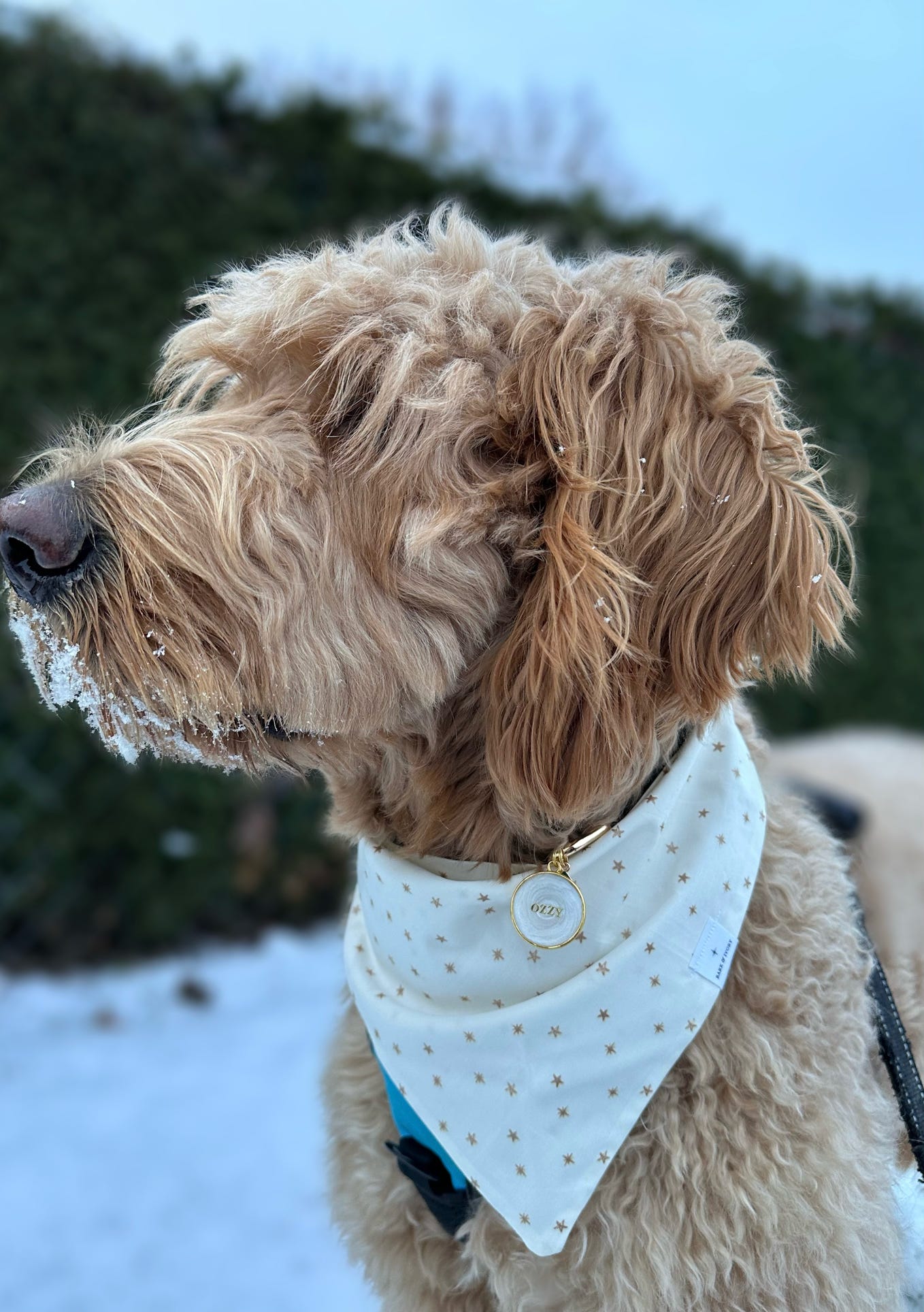 Snowflake