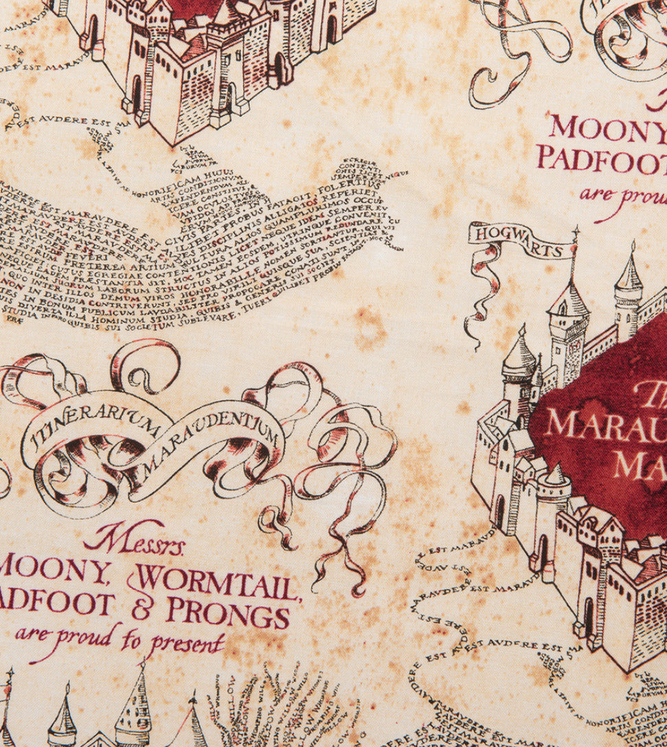 The Marauder's Map