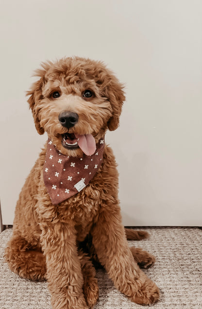 Arlo