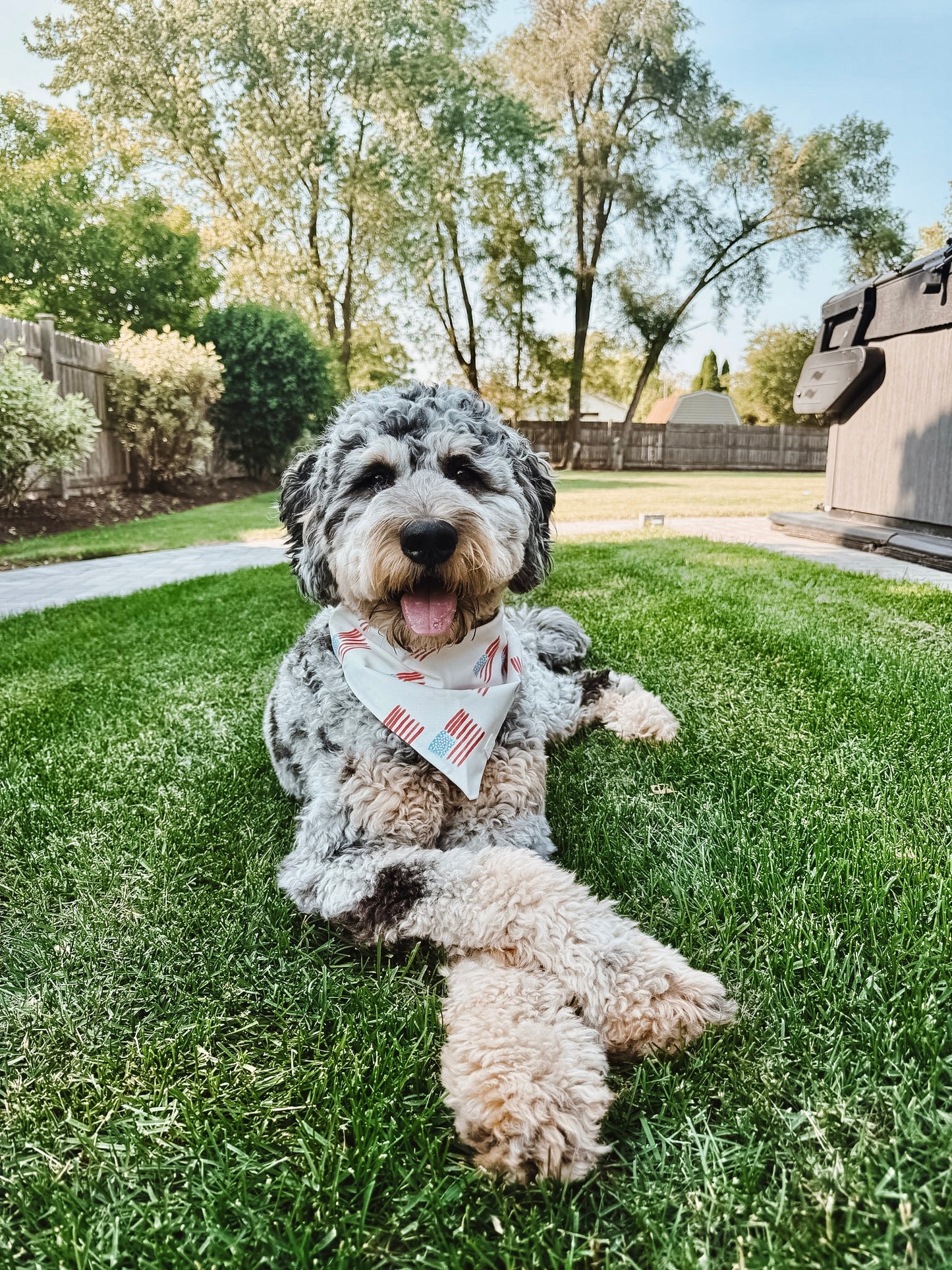 Patriotic Pup