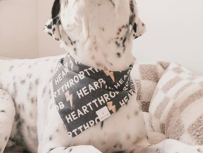 Heartthrob