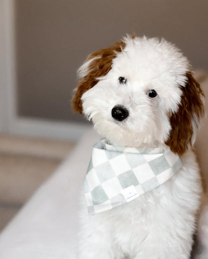 Checkered Charm