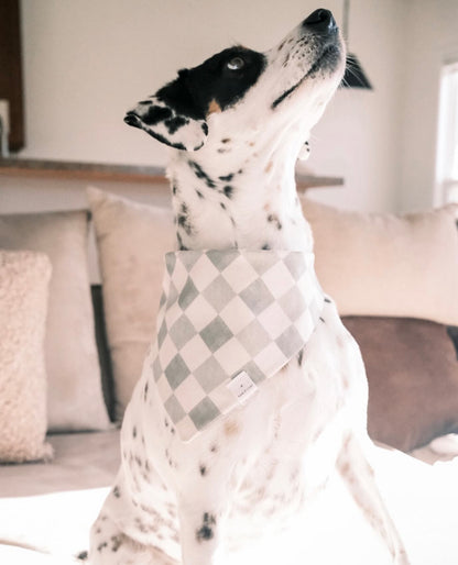 Checkered Charm